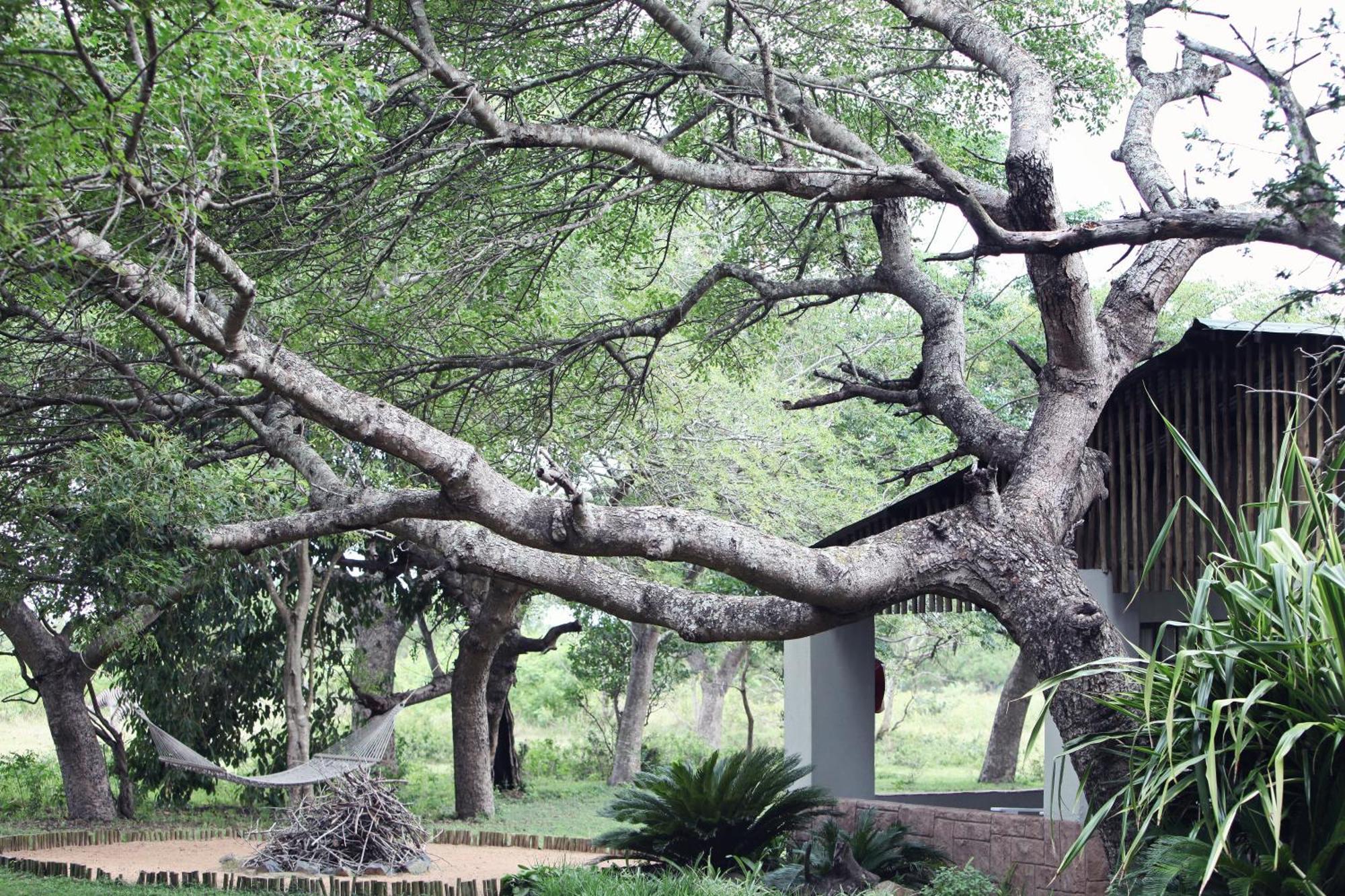 Emdoneni Lodge With Zululand Cat Conservation Project Hluhluwe Eksteriør bilde