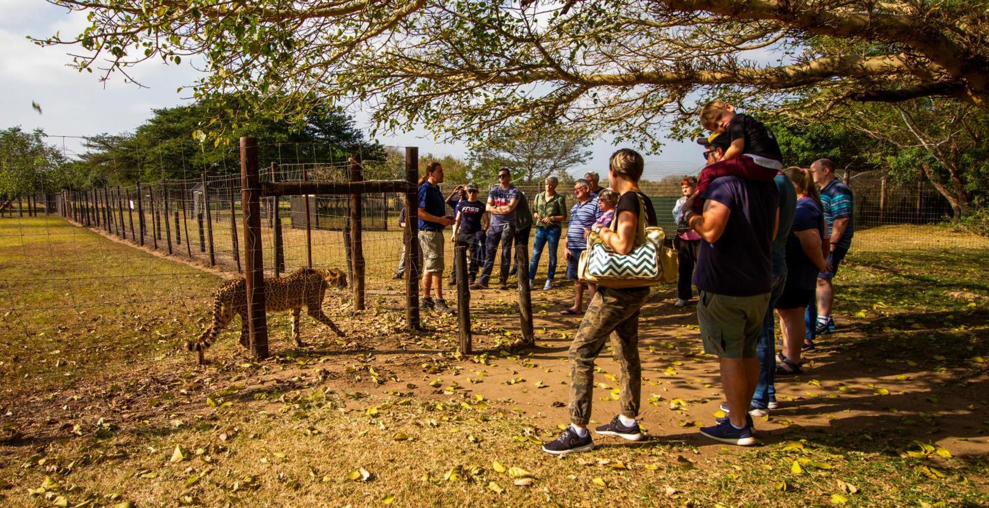 Emdoneni Lodge With Zululand Cat Conservation Project Hluhluwe Eksteriør bilde